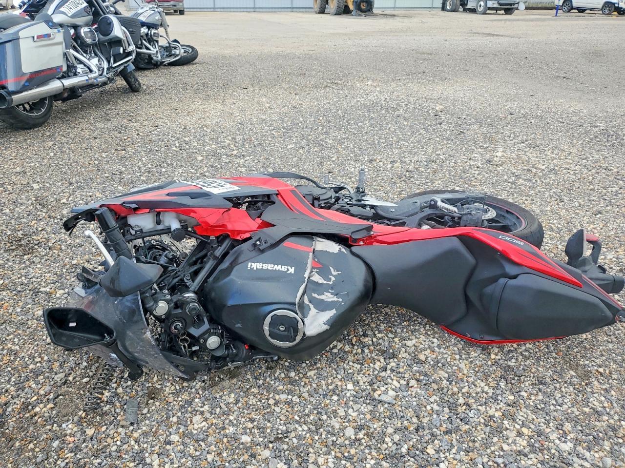 2025 Kawasaki Ex500 - Фото 3