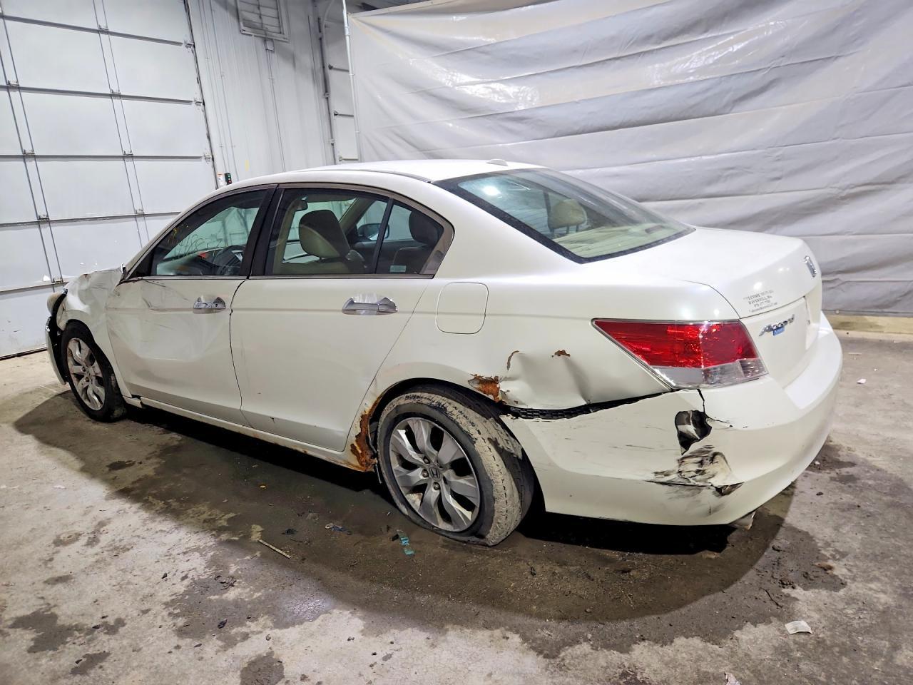 2009 Honda Accord Exl - Фото 2