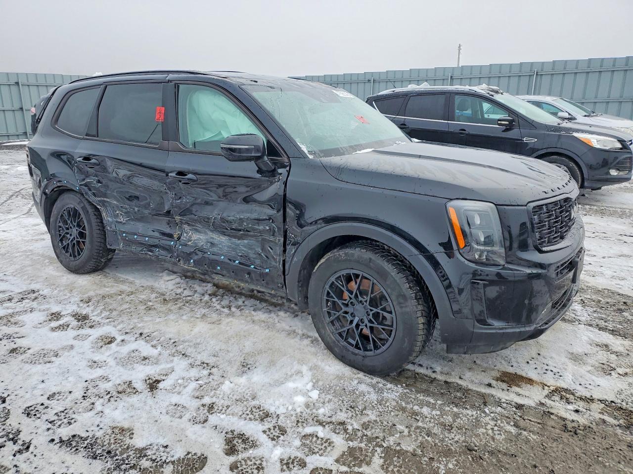 2022 Kia Telluride Sx - Фото 4