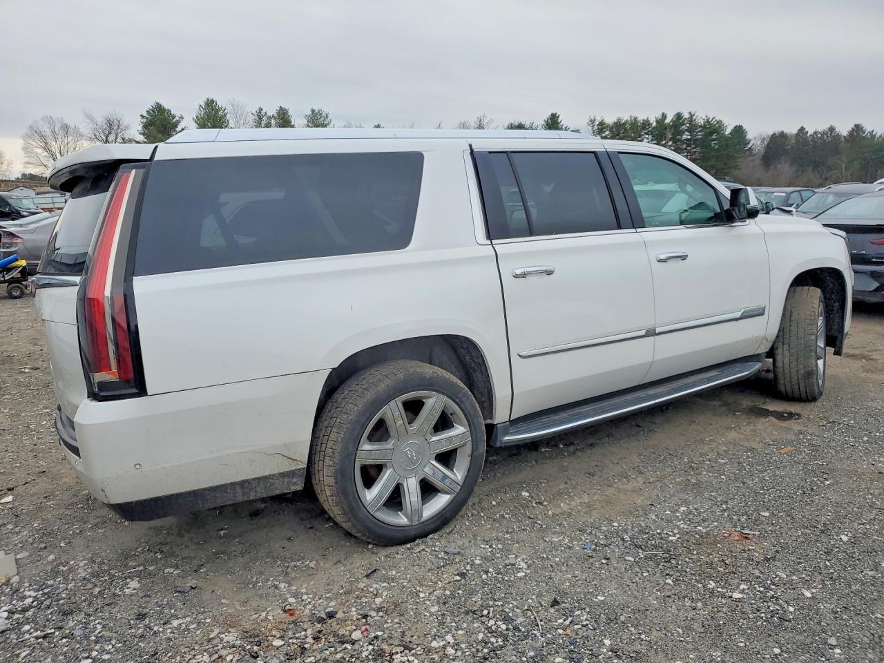 2020 Cadillac Escalade Esv Luxury - Фото 3