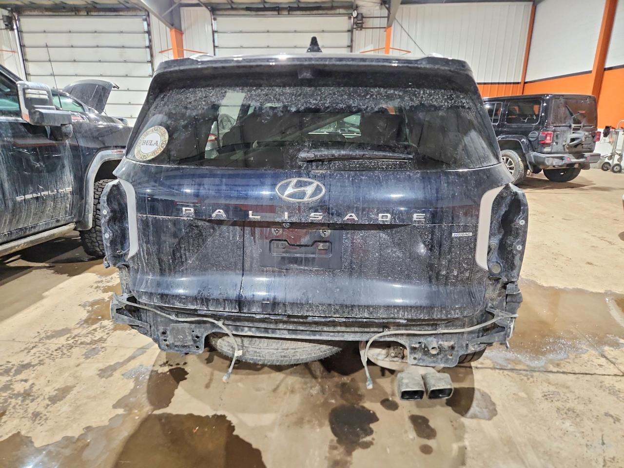 2023 Hyundai Palisade Limited - Фото 6