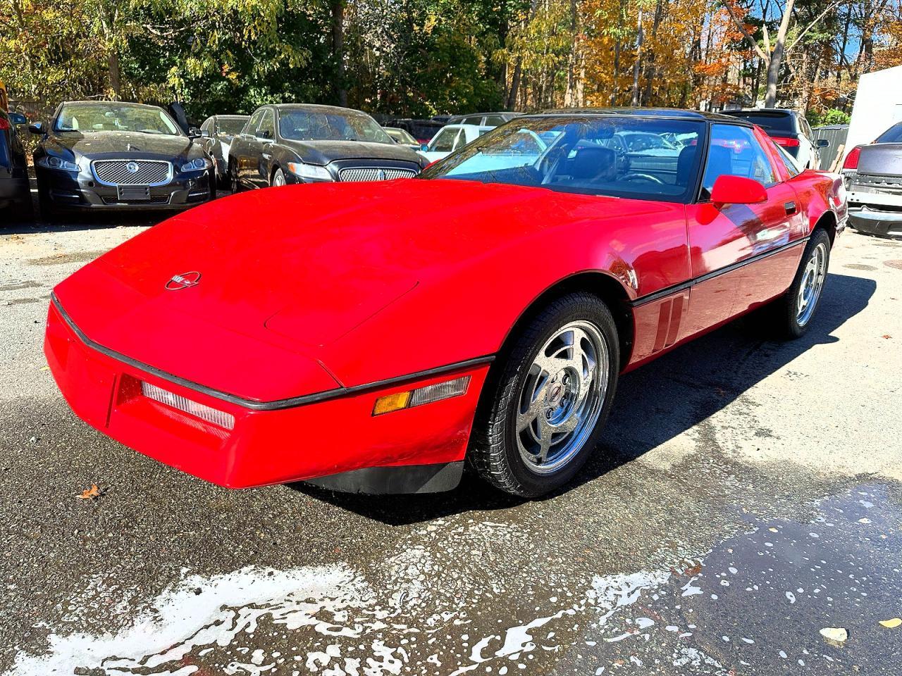 1990 Chevrolet Corvette - Фото 2