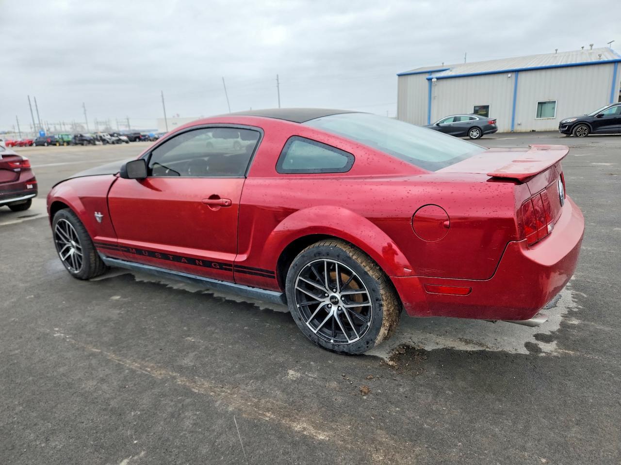 2009 Ford Mustang 50Th Anniversary - Фото 2