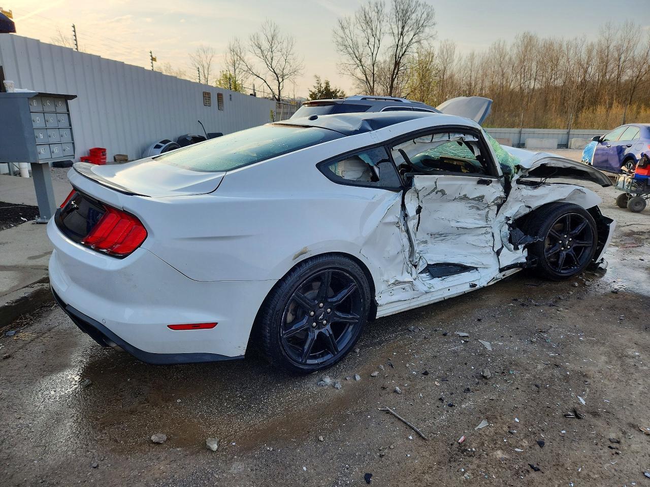2019 Ford Mustang - Image 3