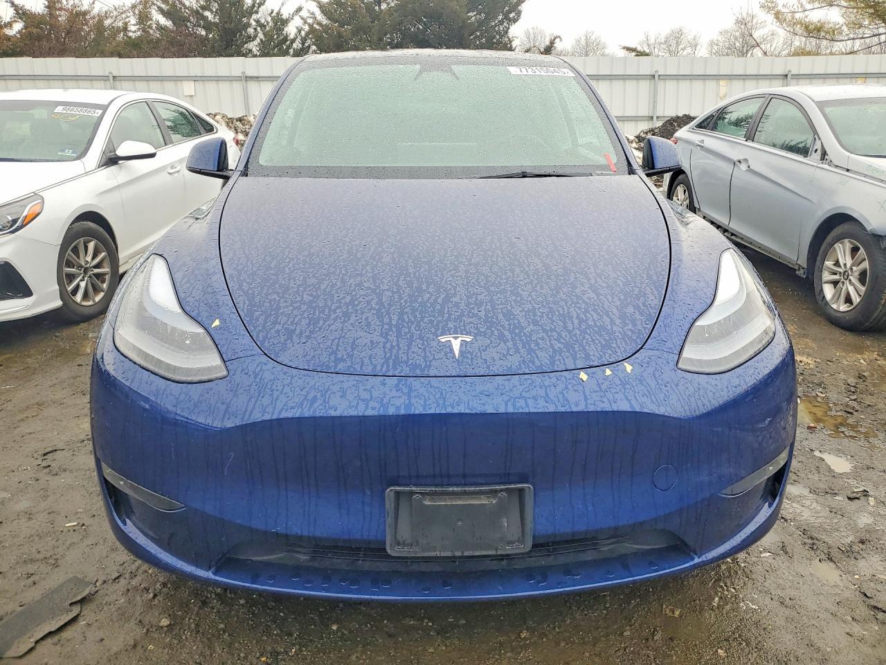 2023 Tesla Model Y - Фото 5