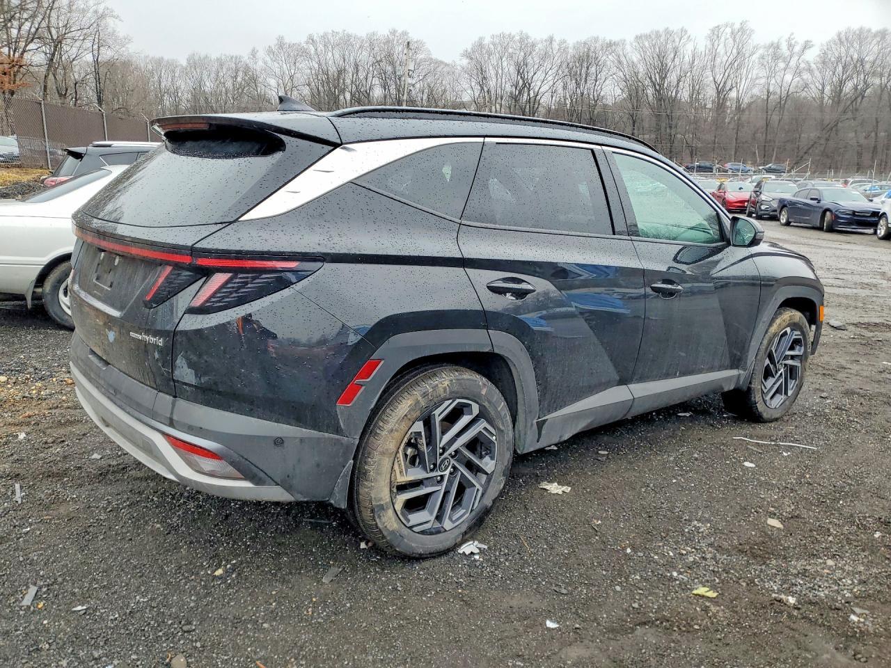 2025 Hyundai Tucson Hybrid Limited - Фото 3