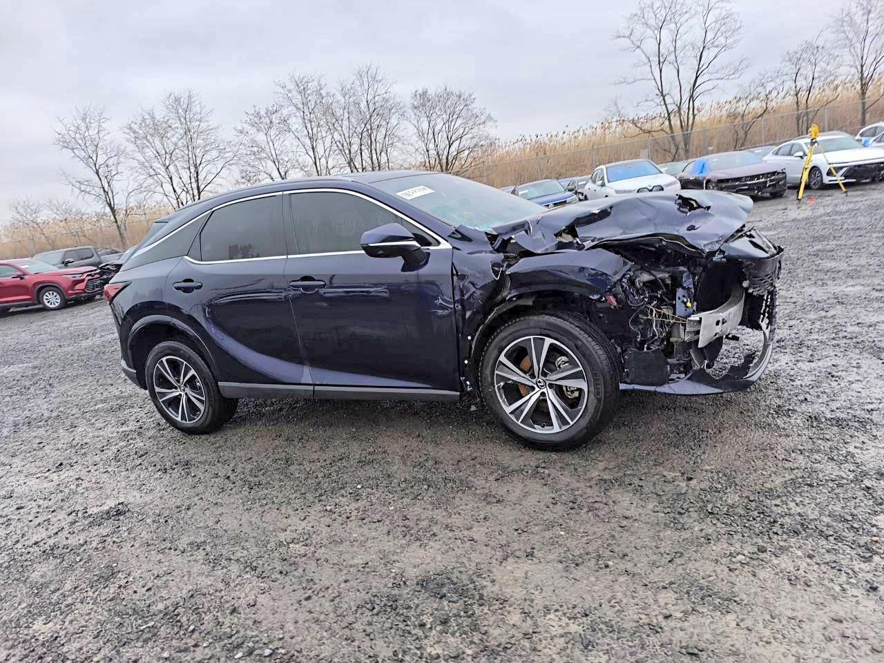 2024 Lexus Rx 350 Premium - Фото 3