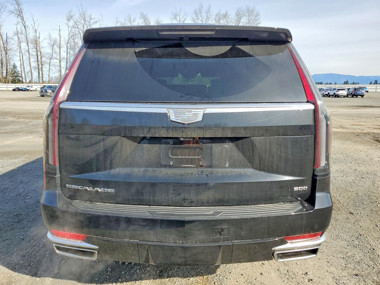 2023 Cadillac Escalade Premium Luxury Platinum - Фото 6