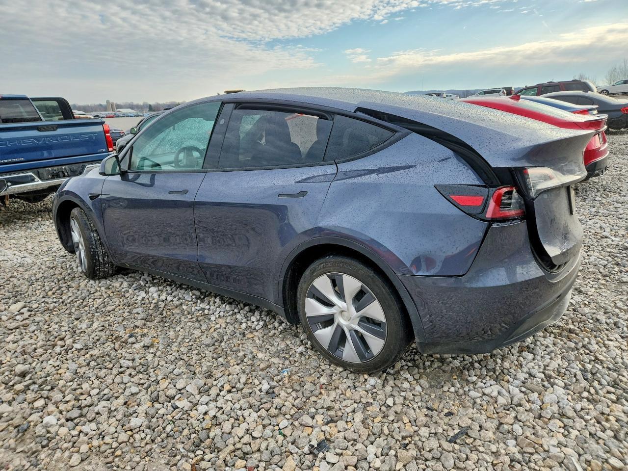2023 Tesla Model Y - Фото 2
