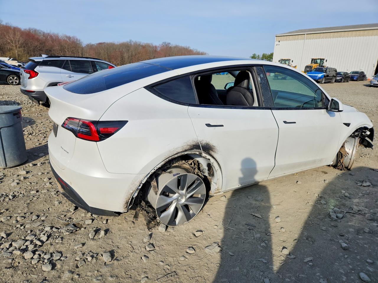 2021 Tesla Model Y - Фото 3