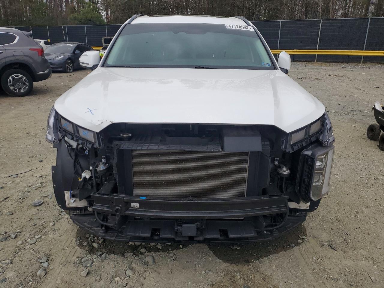 2023 Hyundai Palisade Xrt - Фото 5