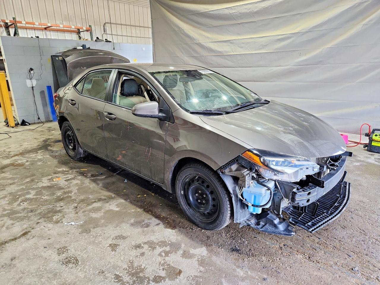 2019 Toyota Corolla Le - Фото 4
