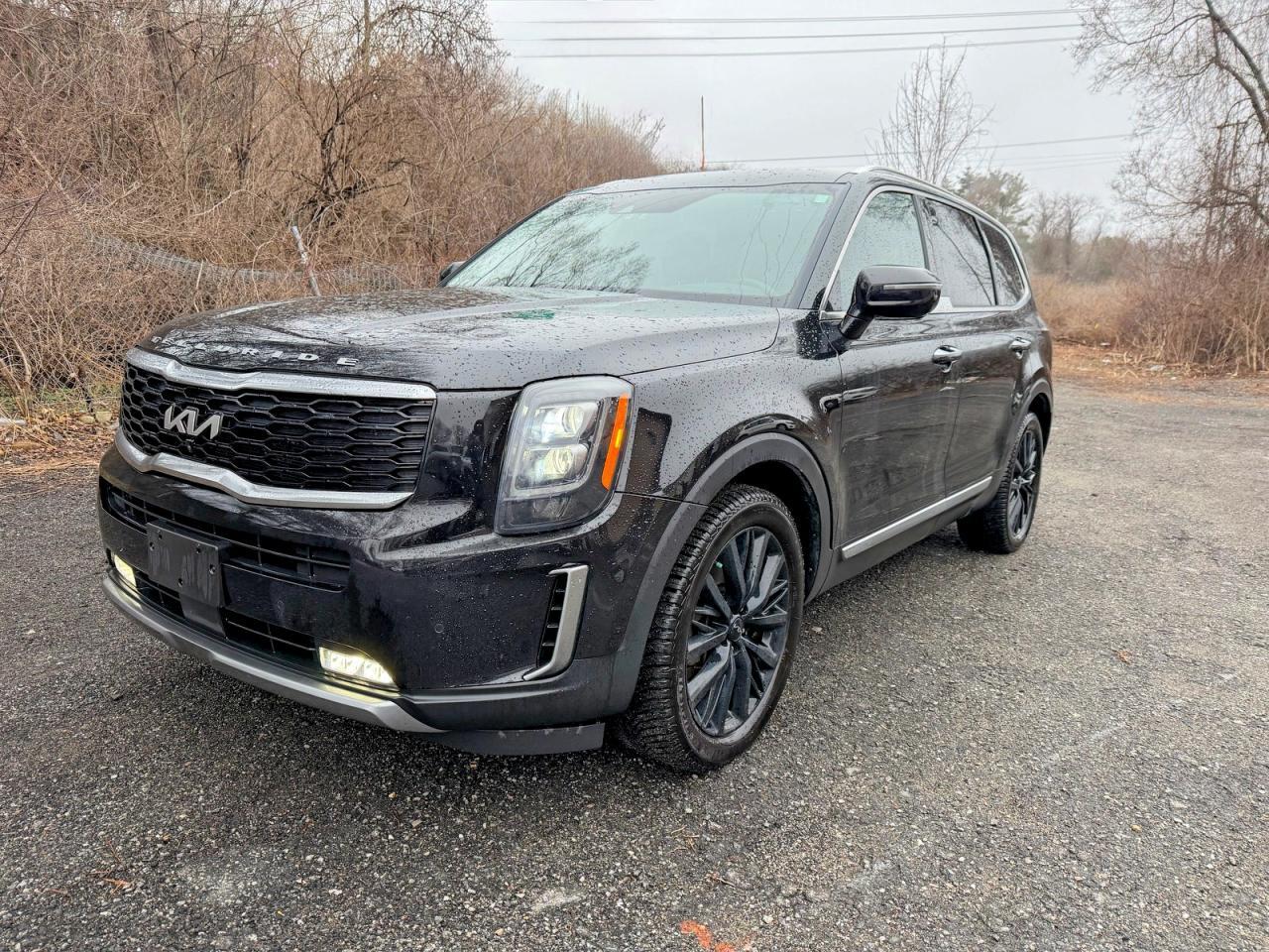 2022 Kia Telluride Sx - Image 2