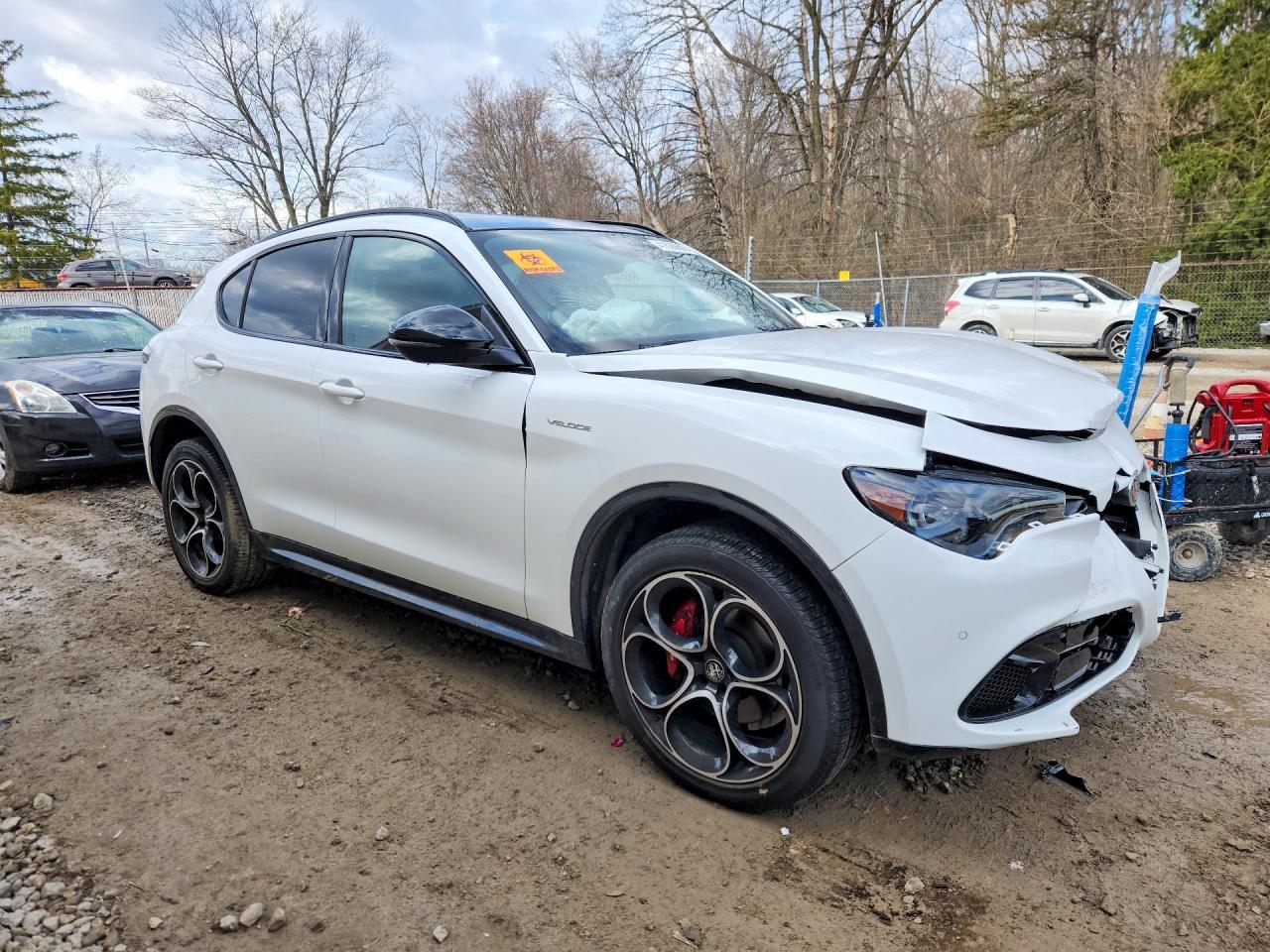 2024 Alfa Romeo Stelvio Ti - Image 4