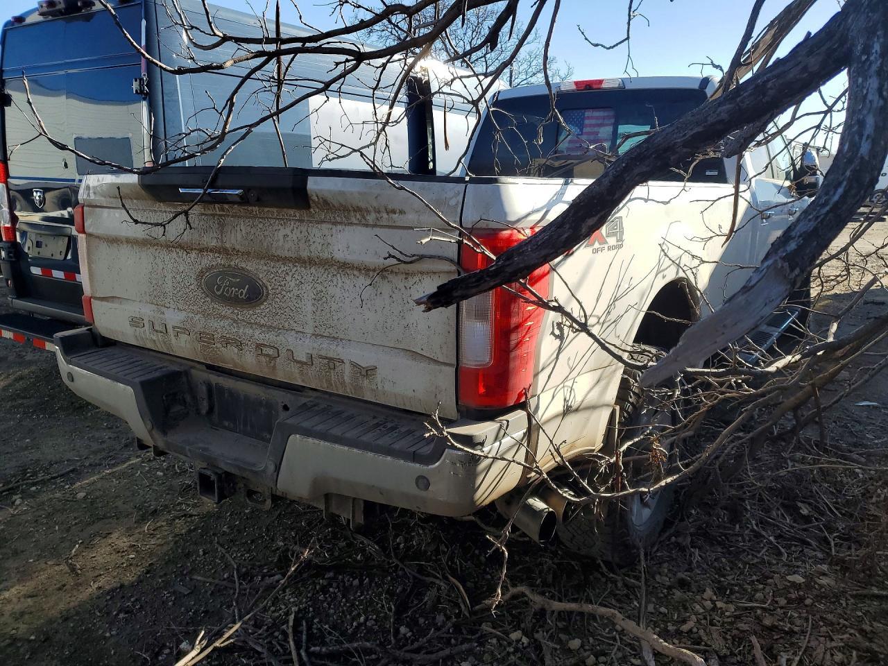 2018 Ford F350 Super Duty - Фото 3