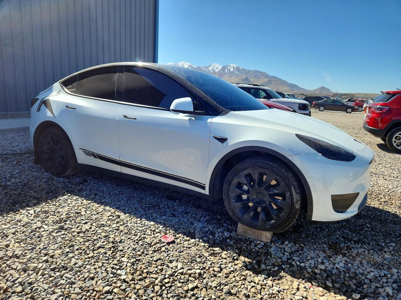 2023 Tesla Model Y - Image 4