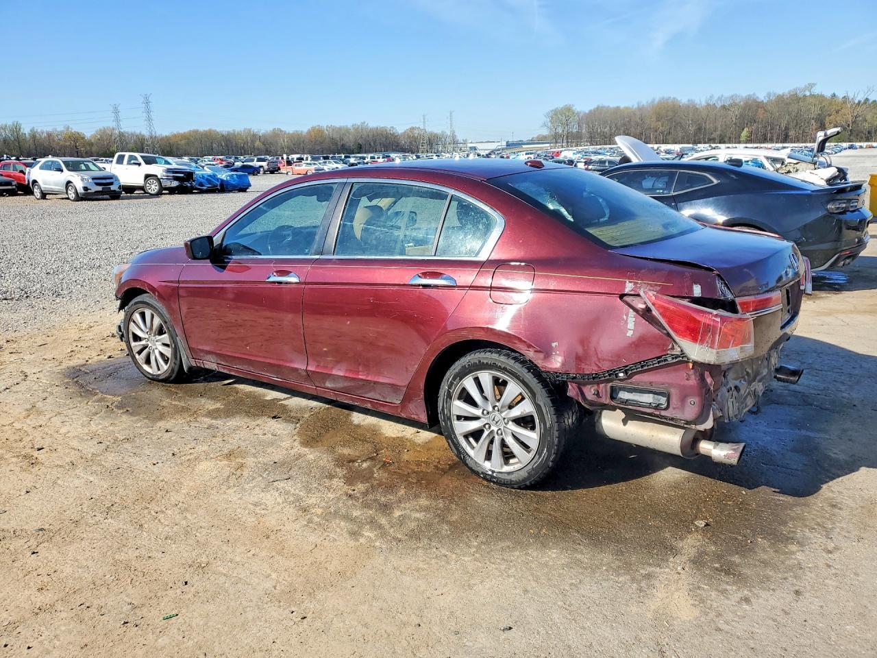 2011 Honda Accord Exl - Фото 2