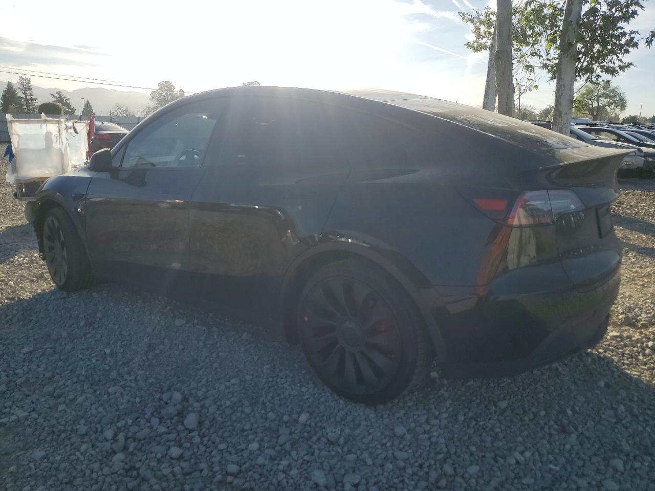 2023 Tesla Model Y - Image 2