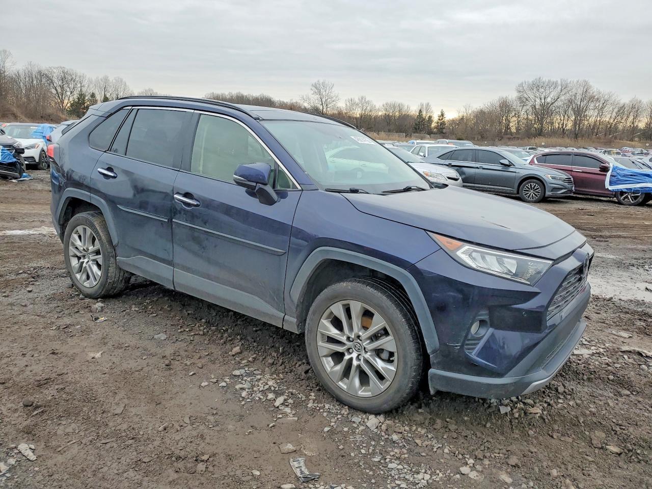 2019 Toyota Rav4 Limited - Фото 4