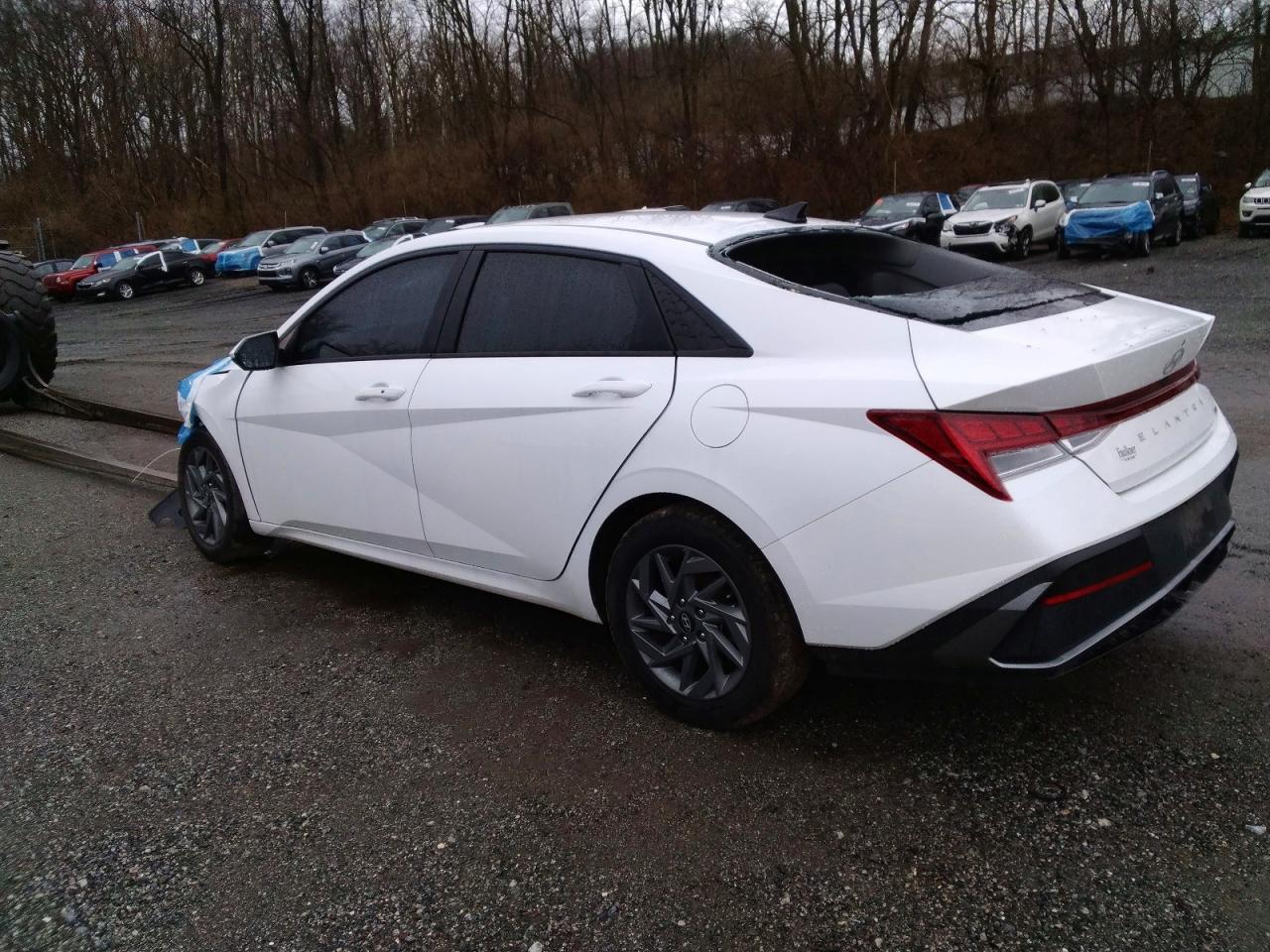2024 Hyundai Elantra Hybrid Blue - Фото 2