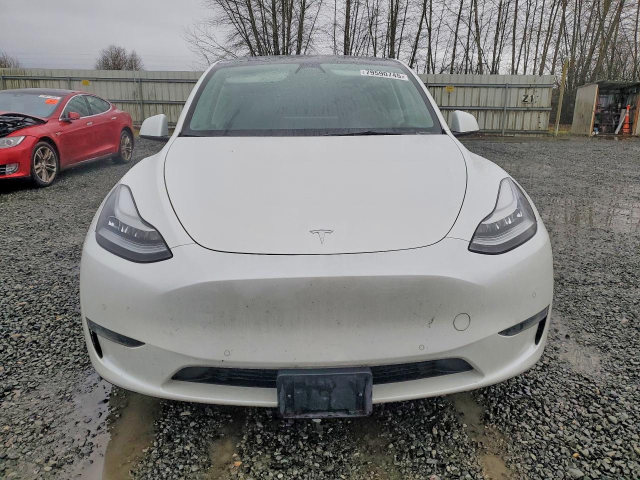 2021 Tesla Model Y - Image 5