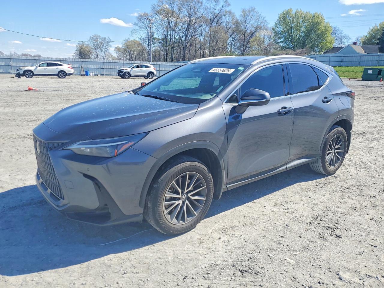 2025 Lexus Nx 250 Base