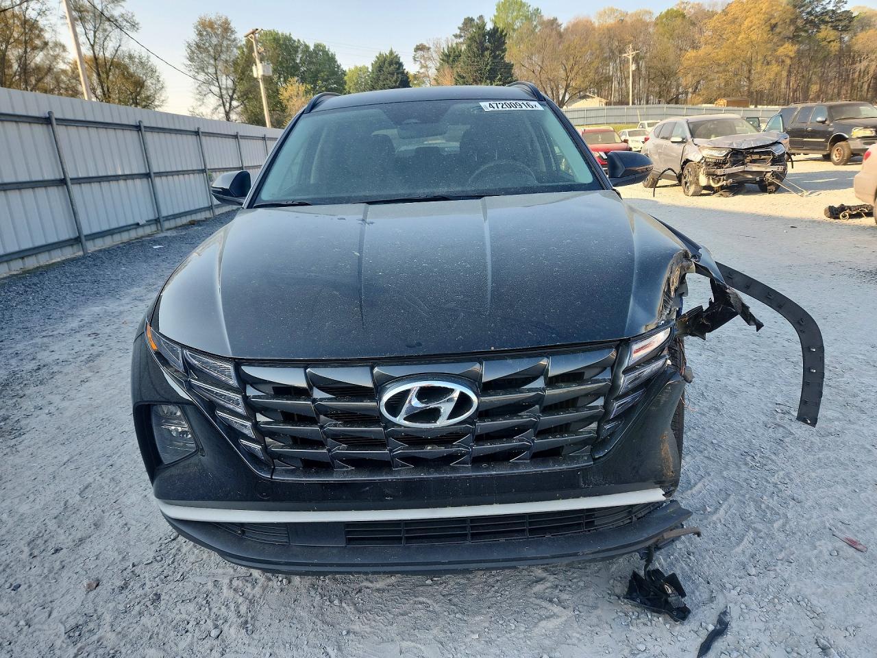 2023 Hyundai Tucson Hybrid Blue - Фото 5