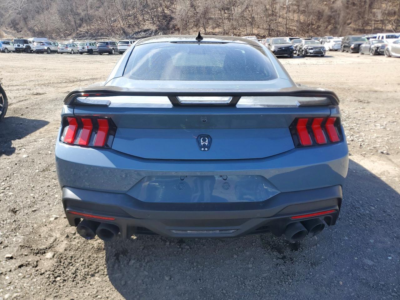 2024 Ford Mustang Dark Horse - Фото 6