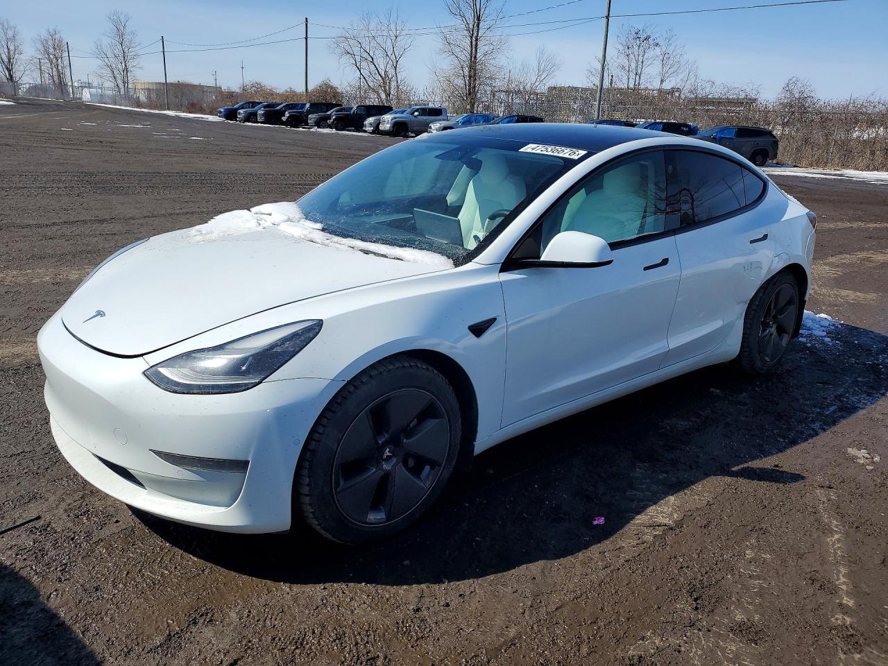 2021 Tesla Model 3