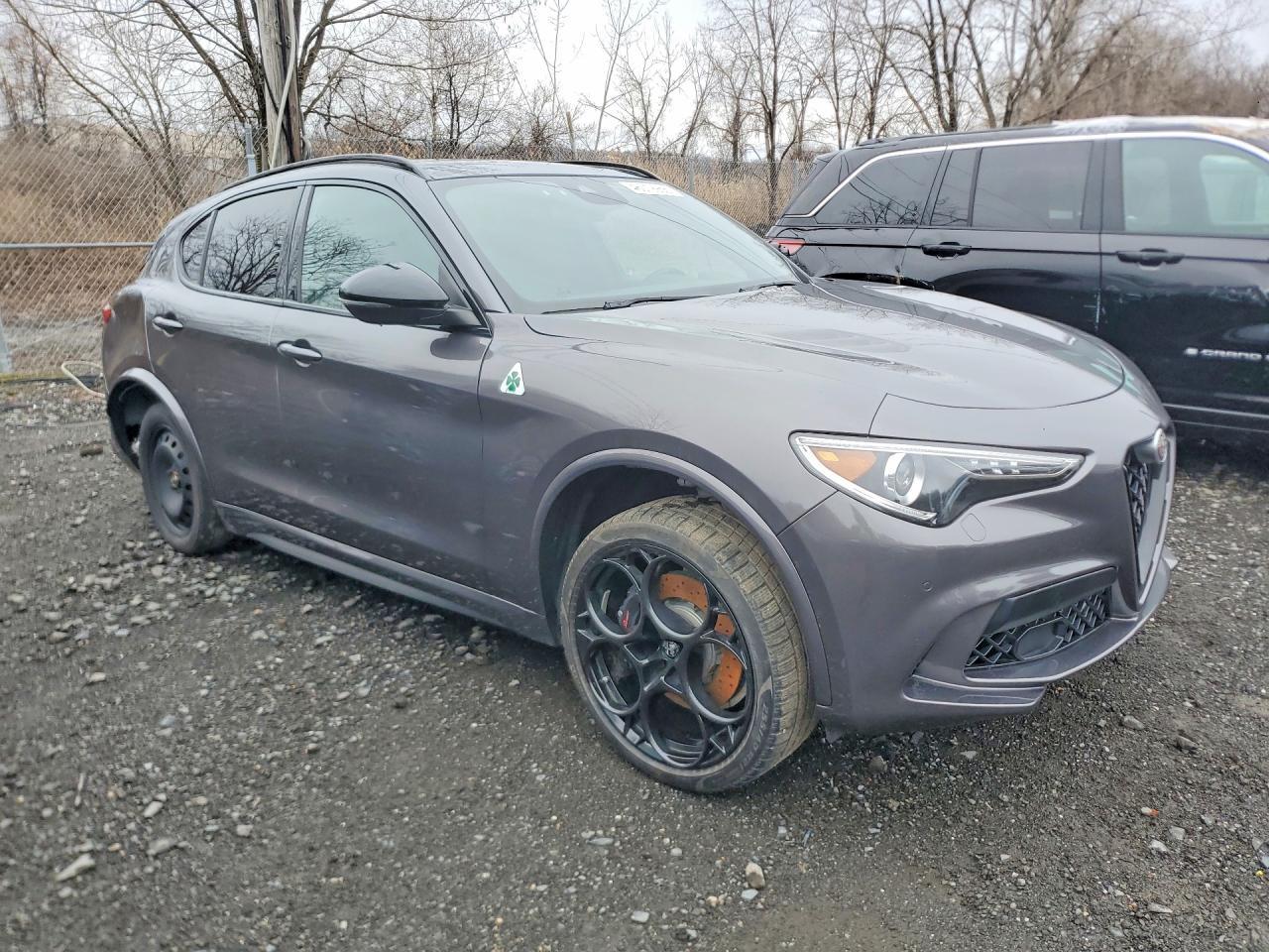 2023 Alfa Romeo Stelvio Quadrifoglio - Фото 4
