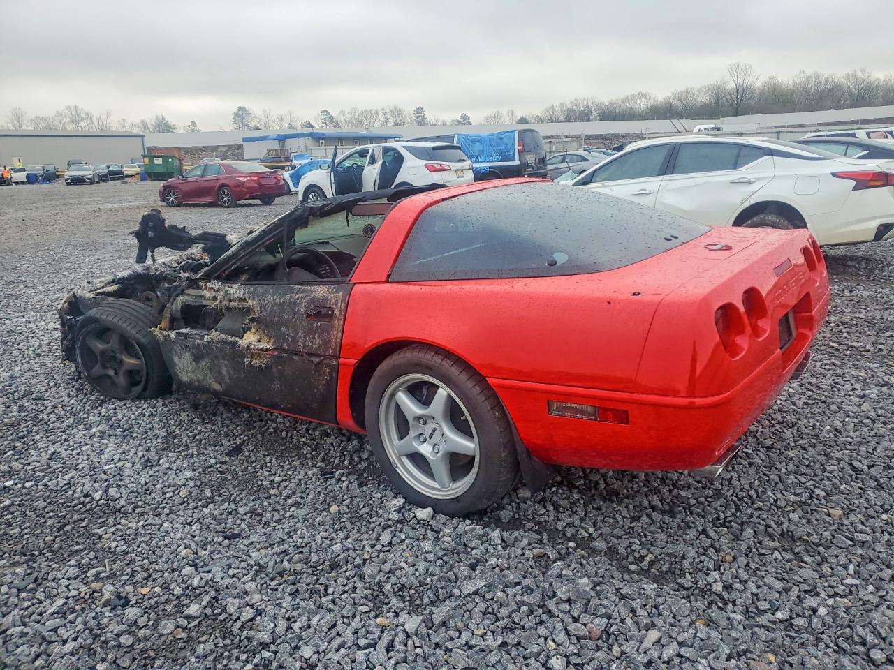 1996 Chevrolet Corvette - Фото 2