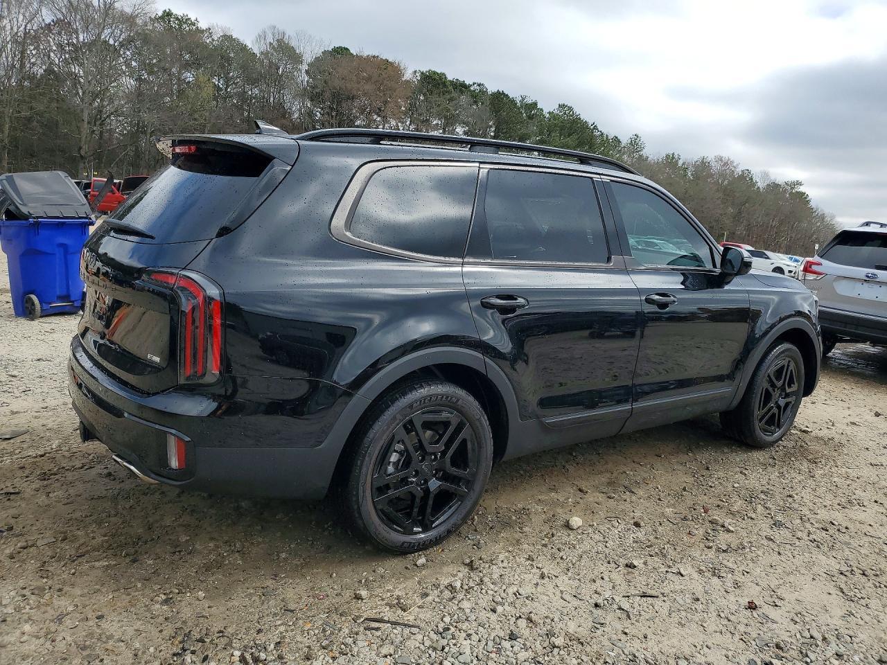 2025 Kia Telluride Sx X-Line - Фото 3