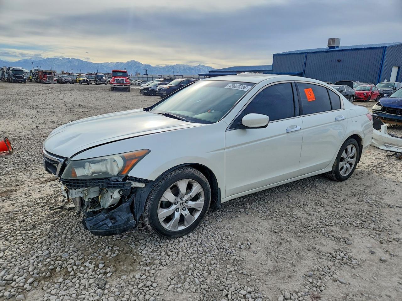 2008 Honda Accord Exl