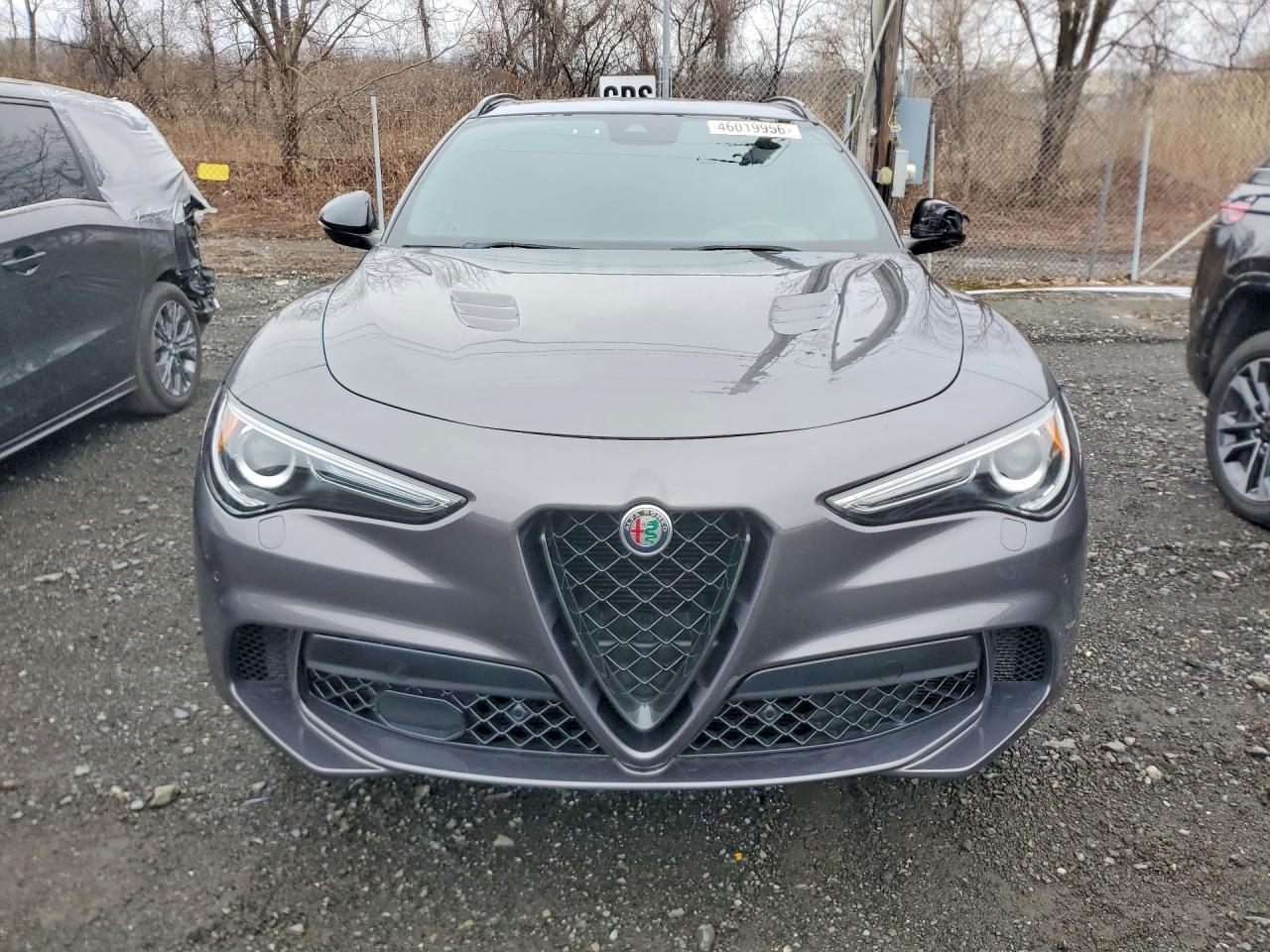 2023 Alfa Romeo Stelvio Quadrifoglio - Фото 5