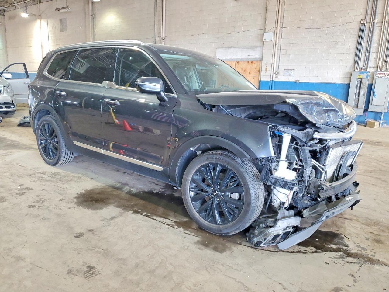 2020 Kia Telluride Sx - Фото 4