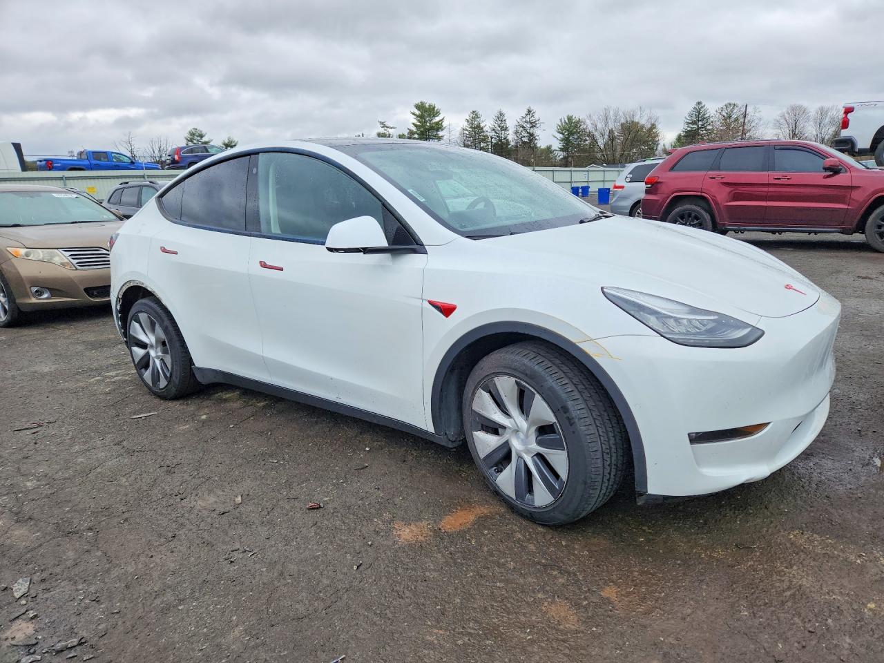 2021 Tesla Model Y - Фото 4