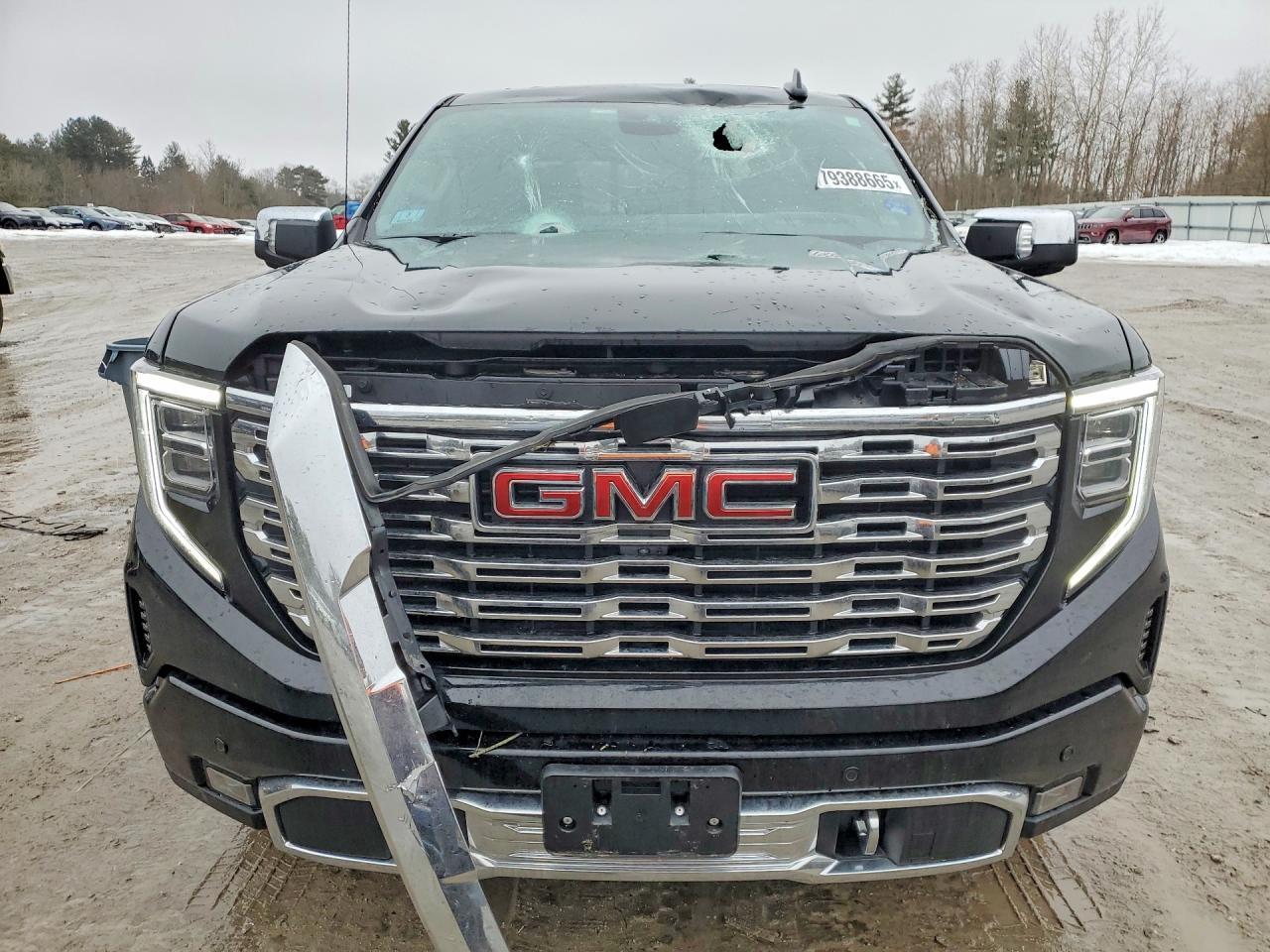 2025 GMC Sierra K1500 Denali - Image 5