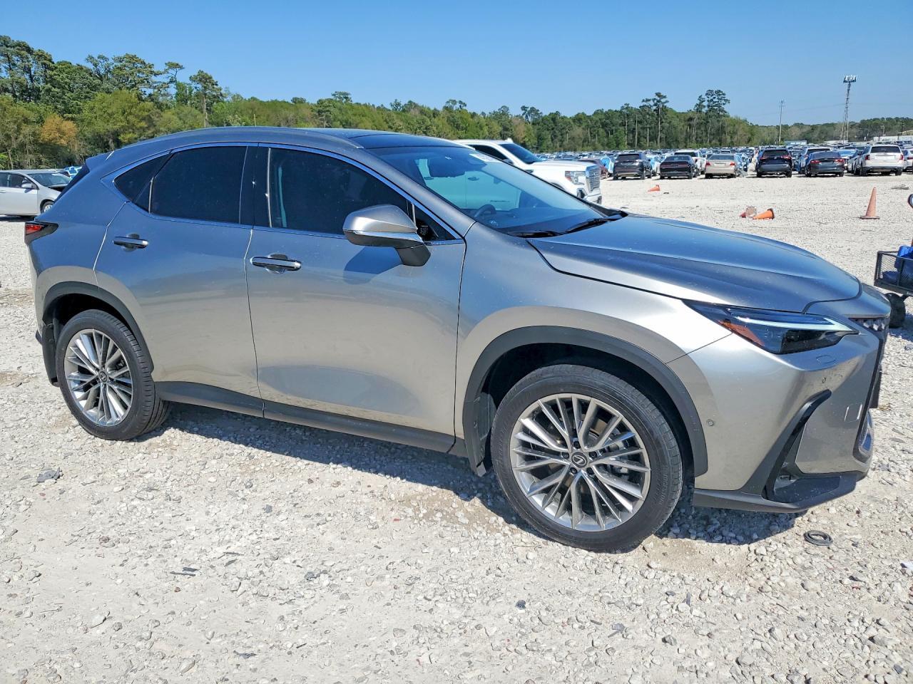 2026 Lexus Nx 350H Luxury - Фото 4