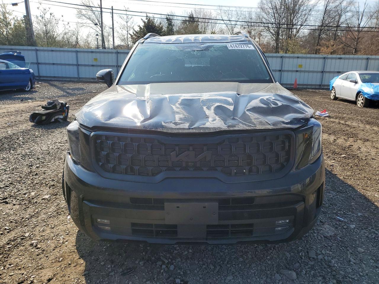 2025 Kia Telluride Sx X-Line - Фото 5