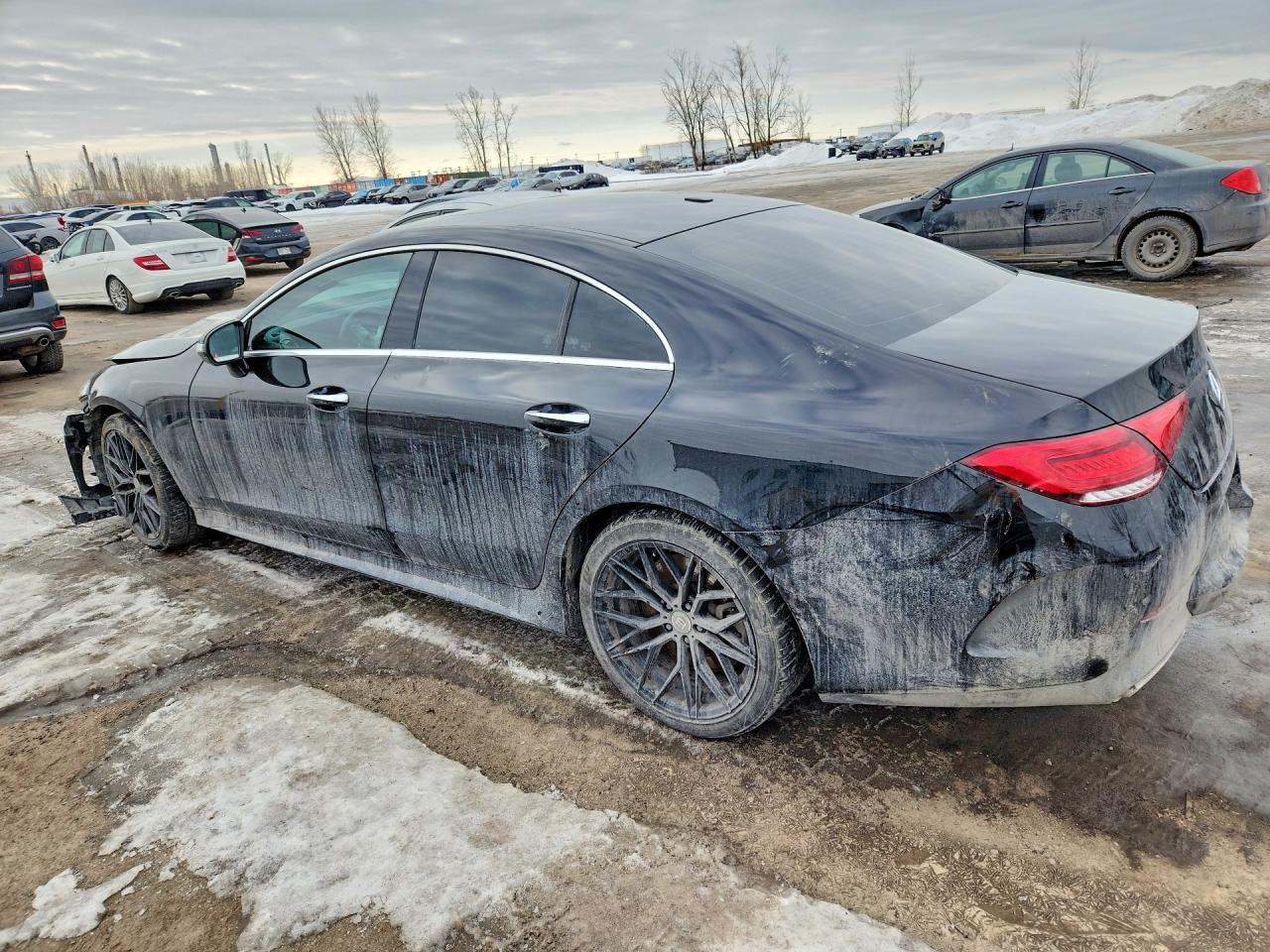 2020 Mercedes-Benz Cls 450 4Matic - Image 2