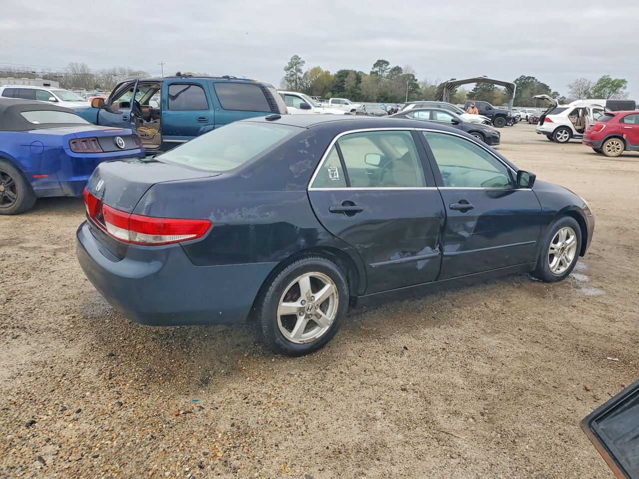2004 Honda Accord Ex - Фото 3