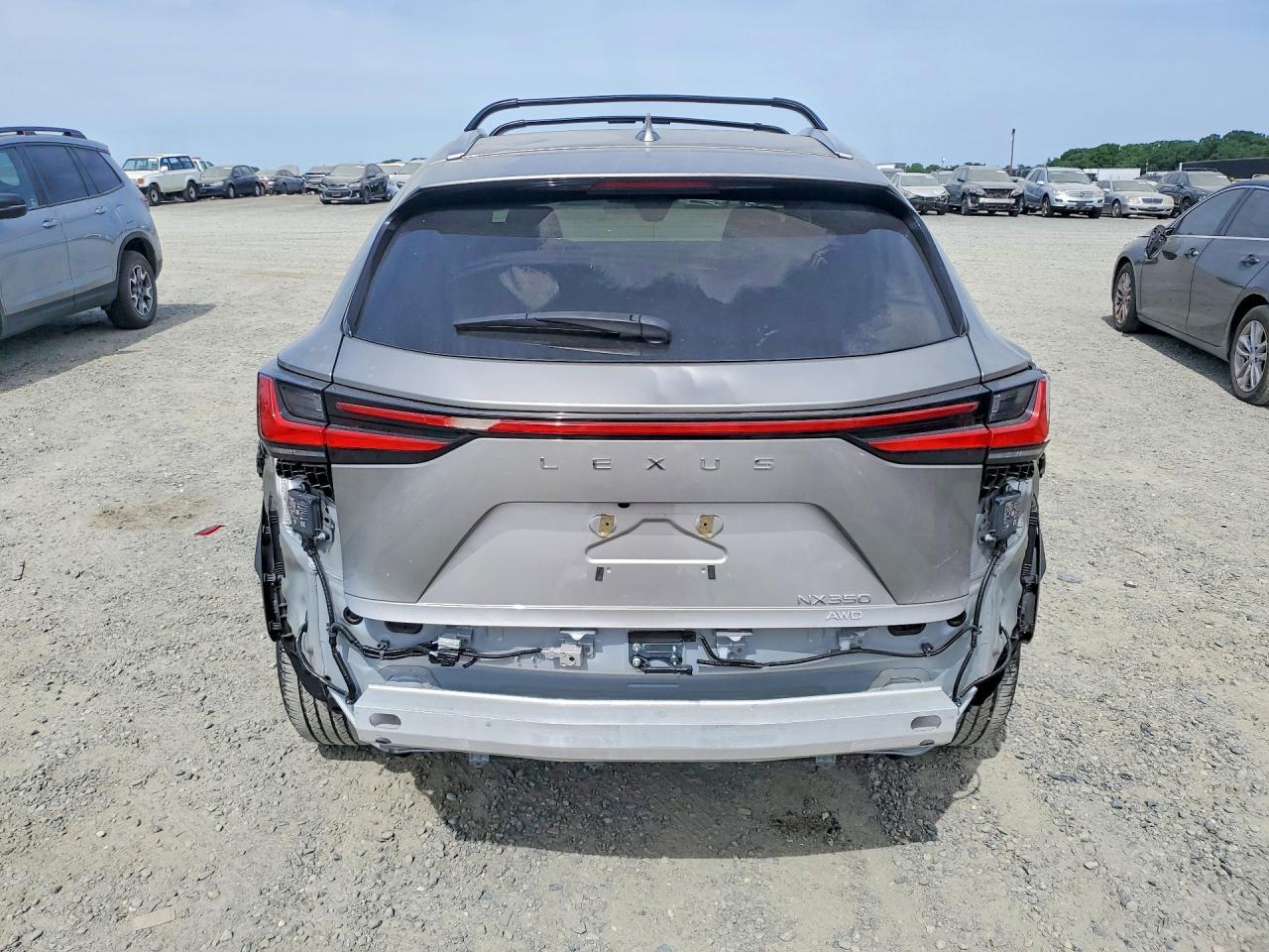 2024 Lexus Nx 350 Premium - Фото 6