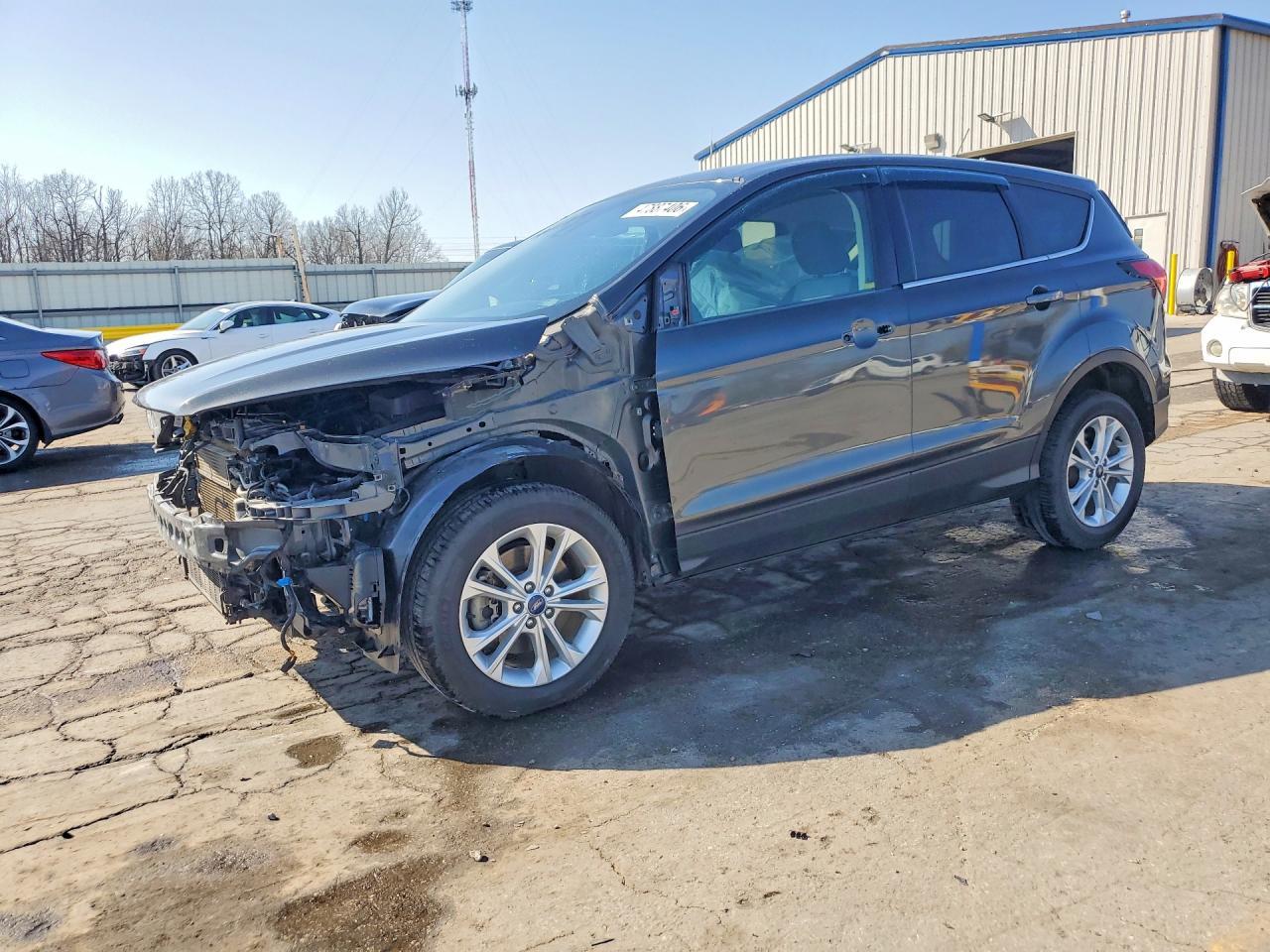 2019 Ford Escape Se