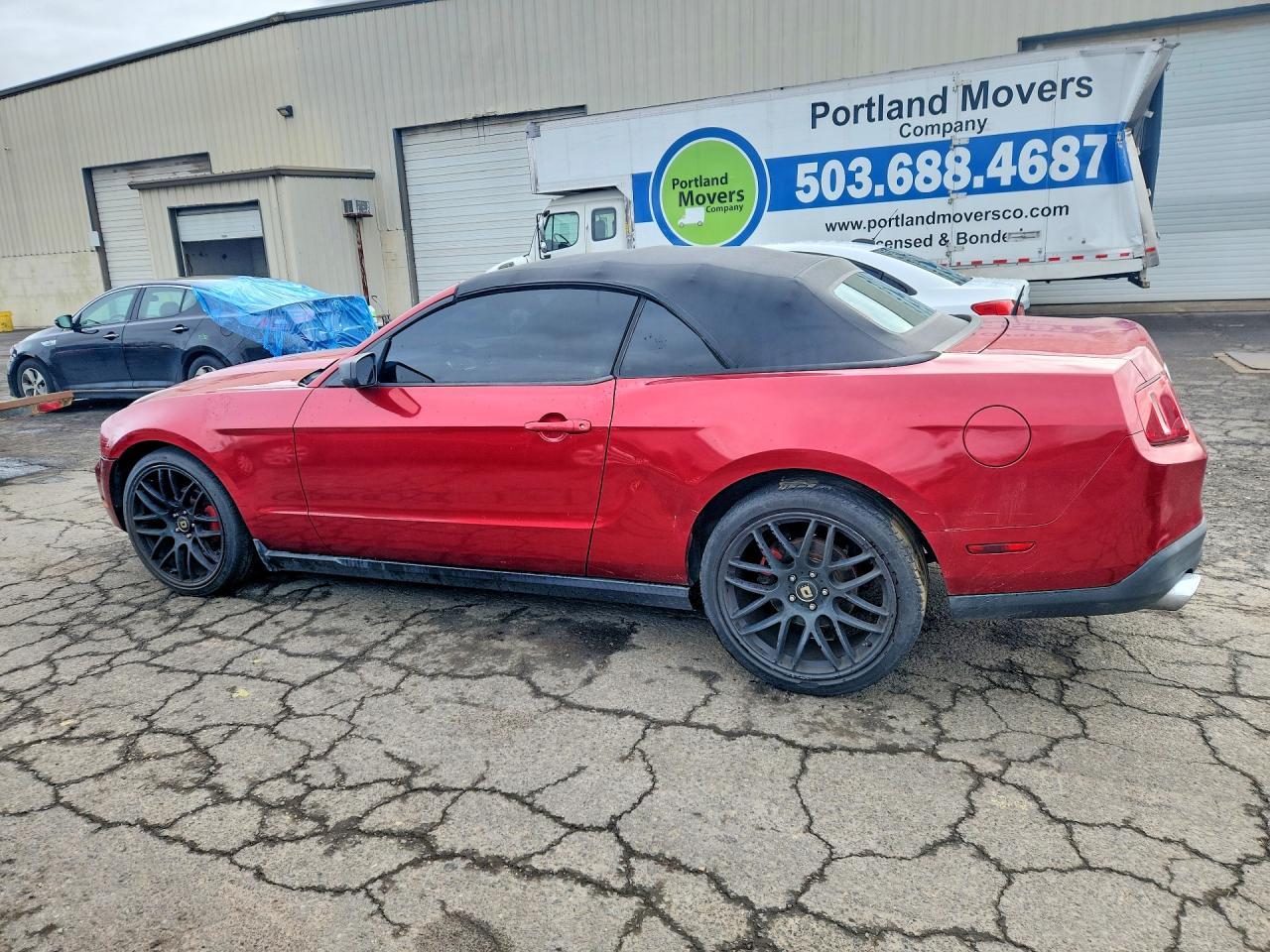 2010 Ford Mustang - Фото 2