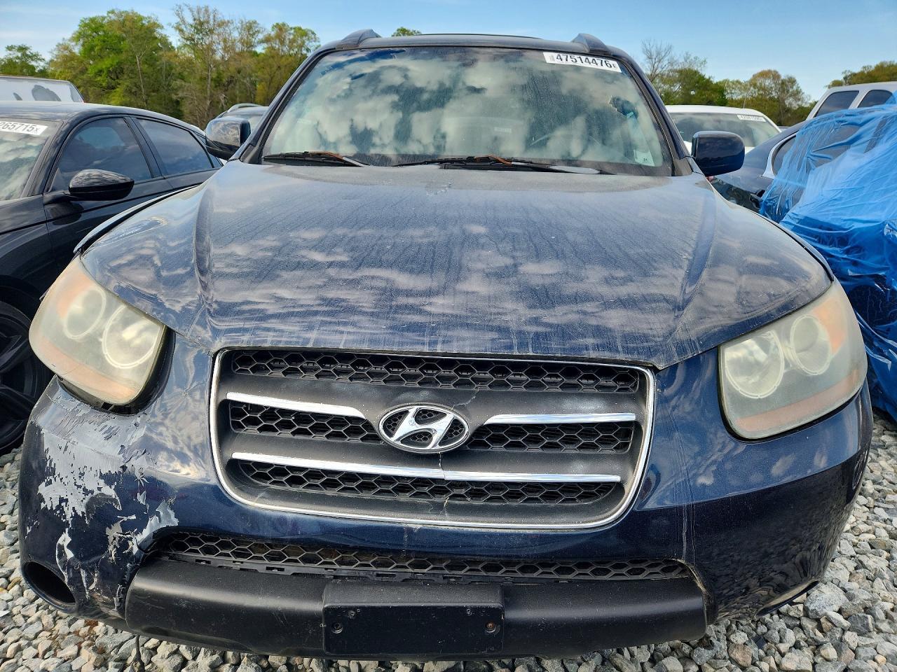 2007 Hyundai Santa Fe Se - Фото 5