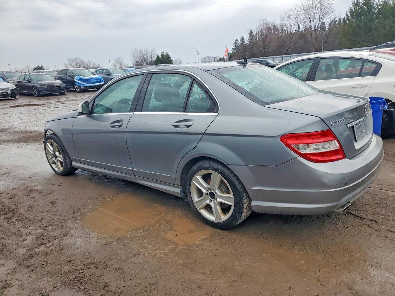 2010 Mercedes-Benz C 300 4Matic - Фото 2