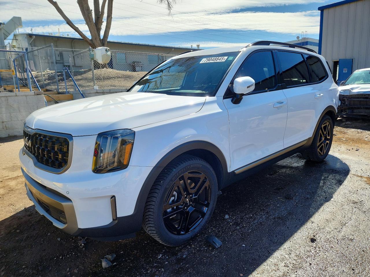 2023 Kia Telluride Sx X-Line