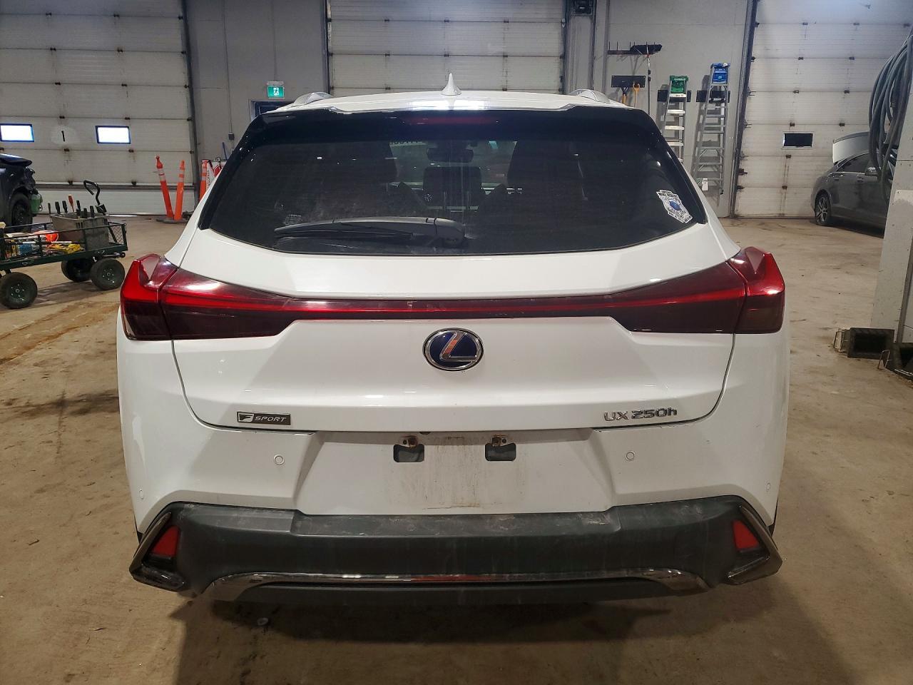 2020 Lexus Ux 250H F Sport - Фото 6