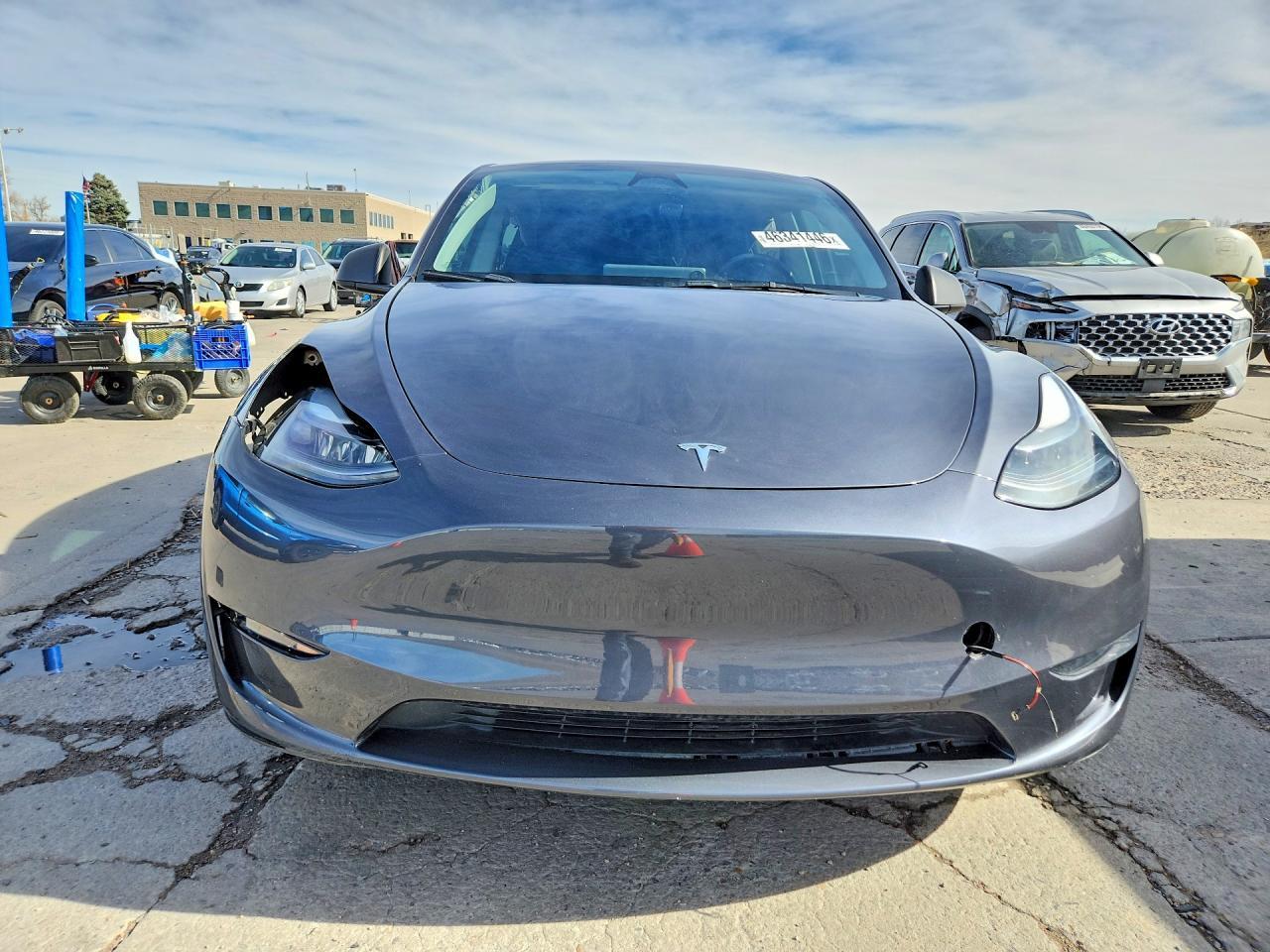 2023 Tesla Model Y - Фото 5