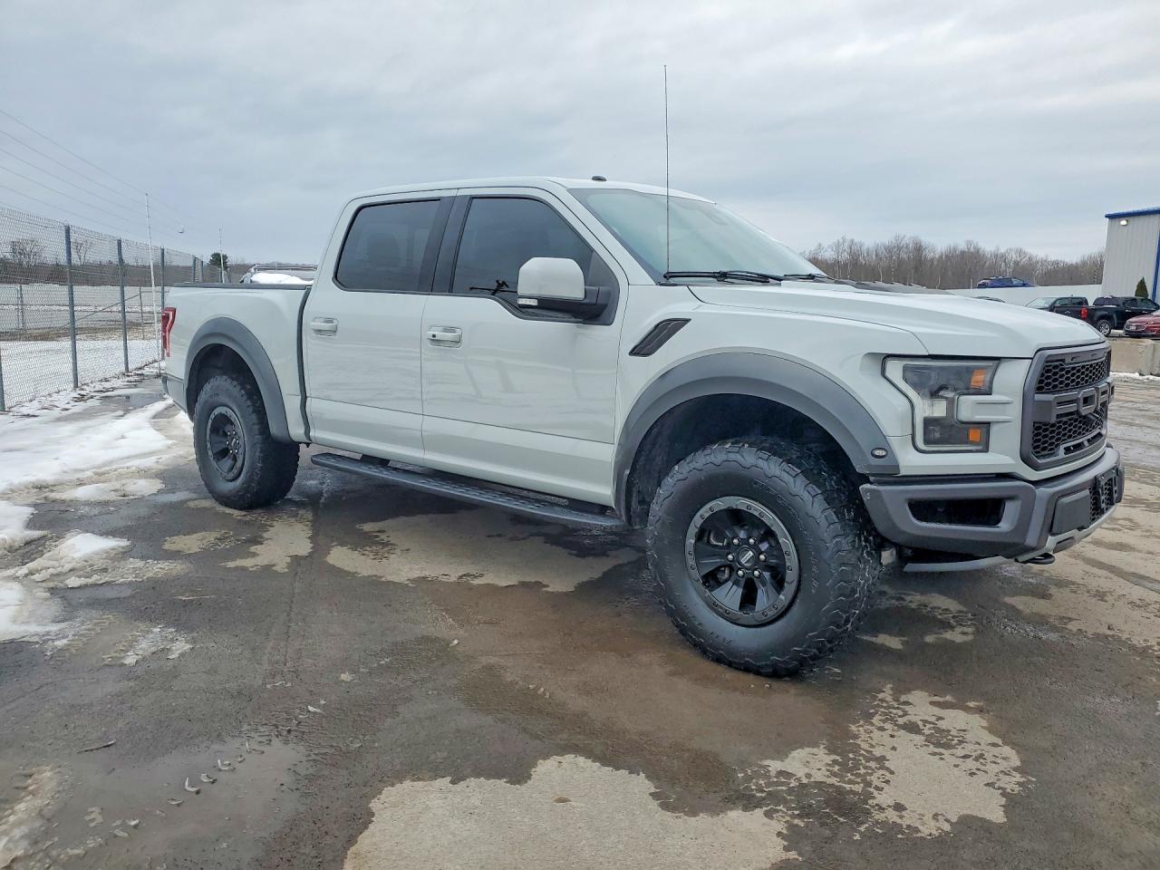 2017 Ford F150 Raptor - Image 4
